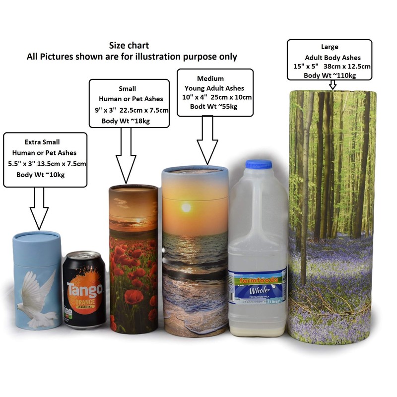 Scattering Ashes Urn, Scatter Tube, Eco-friendly Biodegradable Cremation Urn (Beach
