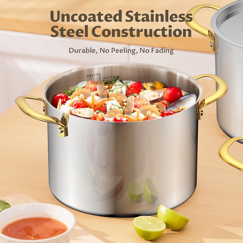 BEZIA 12 Qt Stainless Steel Stock Pot with Lid, Induction