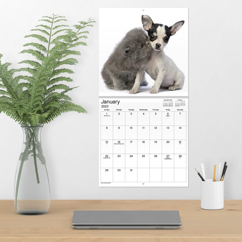2023 Buddies Wall Calendar
