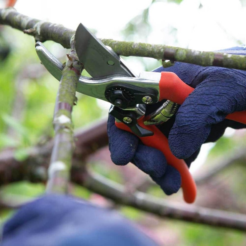 Wilkinson Sword 1111295WG Folding Saw and Pruner Set