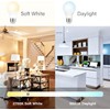 Sigalux LED Light Bulbs 60 Watt Equivalent A19 Standard Light