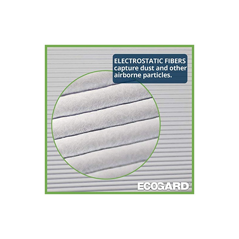 ECOGARD XC35491 Filtro de aire de cabina premium compatible con