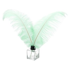 PATIKIL Pack of 30 Natural Ostrich Feathers Wholesale 10-12 Inch / 25-30 cm Large Ostrich Feathers for Crafts, Home Decoration, Wedding Party, Vase Decor (Mint Green)