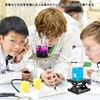 TVETE Mini Laboratory Jack, Small, Height Adjustable, Elevation Range: 1.0
