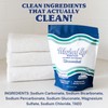 Washed Up Goods Unscented Laundry Detergent Powder | Fragrance-Free |