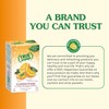 True Orange 500ct (Pack of 1) - Water Enhancer -