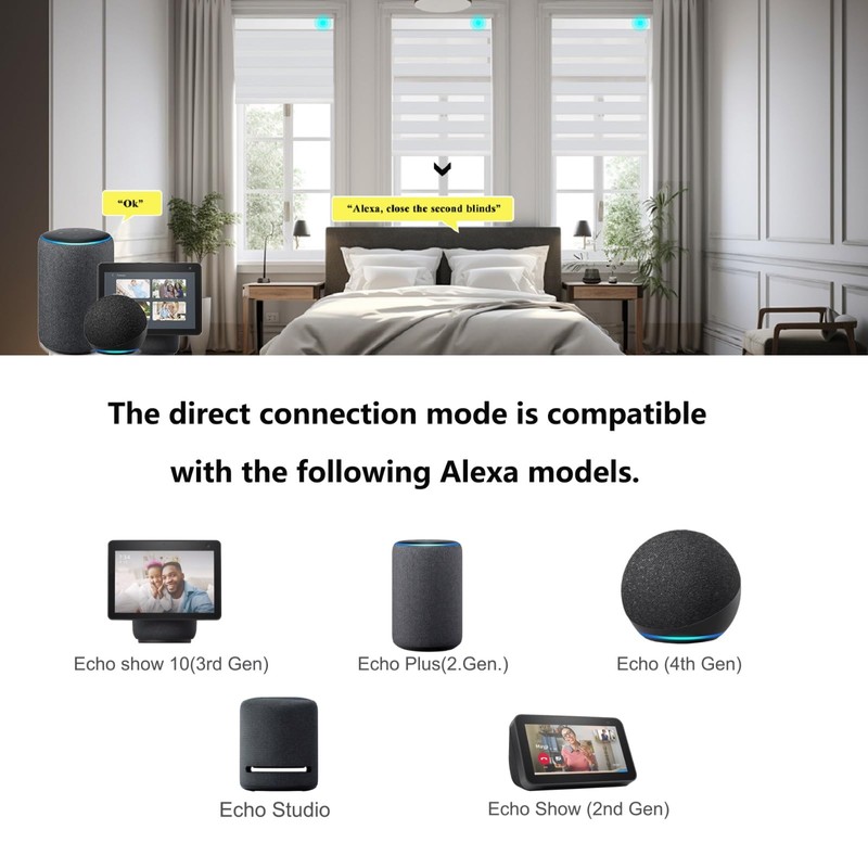 Changshade Blackout Motorized Smart Electric Automatic Zebra Blinds with Remote