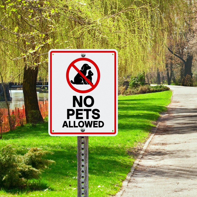 No Pets Allowed Aluminum Metal Business Sign | No Dogs,