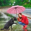 ZOMAKE Small Travel Umbrella Compact Portable Collapsible Umbrellas for Rain,