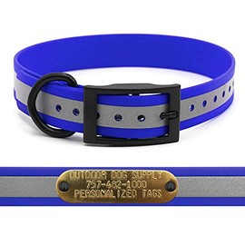 SoftFlex Reflective 1" D Ring Dog Collar with Custom Brass Name Plate Tag (18", Reflective Blueberry Blast)