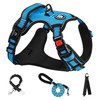 NESTROAD Dog Harness, Dog Leashe, Adjustable, Night Reflective, Small, Medium