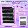 ONLY 14MM Lash Clusters 100D Individual Lashes 240Pcs Cluster Eyelash