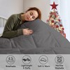Peace Sleep Bedding Queen Size Down Alternative Comforter – All-Season
