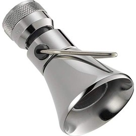 Peerless 2-Setting Shower Head in Chrome
