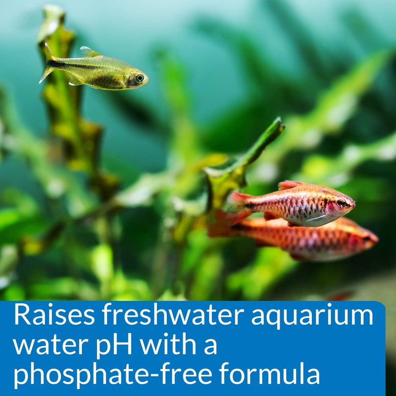 API pH UP Freshwater Aquarium Water pH Raising Solution 1.25-Ounce