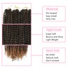Smilco 24-Inch Spring Twist Hair - 6 Packs Passion Twist