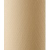 Richell Trash Can Raffiacan L 8.9L Beige