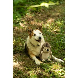 Petface Heston Hedgehog Plush Dog Toy (Pack of 1)