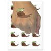 Tree Frog Riding Garden Snail Temporary Tattoo Water Resistant Fake