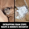 Ortho Home Defense Hornet and Wasp Killer7, Kills and Prevents