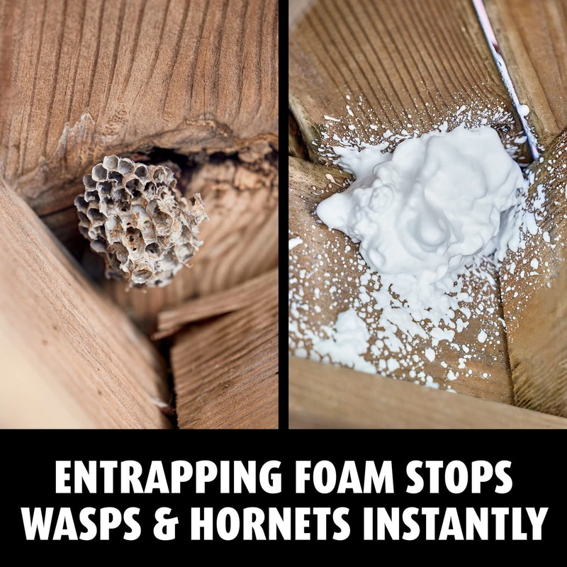 Ortho Home Defense Hornet and Wasp Killer7, Kills and Prevents