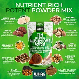 WIXAR NATURALS Wixar - Polvo de hongos – Mezcla de suplemento de extracto de hongos del tesoro para café y batidos – Melena de leones, cola de pavo, R