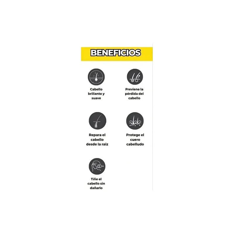 Shampoo Tinte Negro Instantáneo Cubre Canas Jengibre 530ml