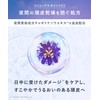 【New Model】 YOLU ヨル Shampoo Refill Calm Night Repair