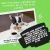 Omegas Aceite De Salmon Para Perros Omegas+espirulina 500 ml