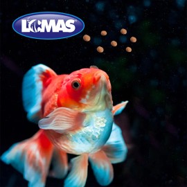 Lomas Japones Pellets 350 Grs Acuario Peces Pecera Crecimiento Color Nutricion