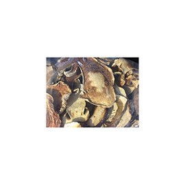 Dried Domestic Porcini Mushrooms 8OZ