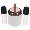 Wireless Karaoke Speakers RGB Light Bluetooth5.3 Speaker with 2 Wireless