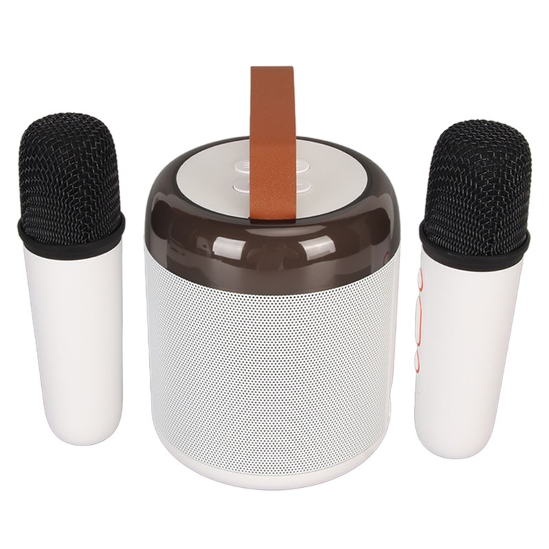 Wireless Karaoke Speakers RGB Light Bluetooth5.3 Speaker with 2 Wireless