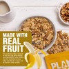 Rip's Big Bowl - Banana Walnut Cereal (6-Pack)