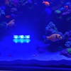 JIzian Small Aquarium Led Light, Multicolor Led Fish Tank for