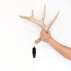 Rack Hub RH1 Single Antler Display