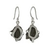Starborn Rohstein Elite Shungite Earrings in 925 Sterling Silver, Gemstone