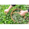 Nettle Tea - 8Oz (REAL WILD HARVEST) | 100% USDA