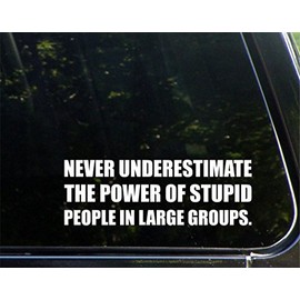 Never Underestimate The Power of Stupid People in Large Groups. - 9" x 3" Vinyl Die Cut Decal/Bumper Sticker for Windows, Cars, Trucks, Laptops, Etc.