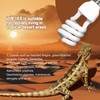 YauldSun UVA UVB Reptile Heat Lamp (10.0 26W)