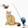 AGGER Cat Casting Fishing Pole Toy, Cat Casting Toy Set,