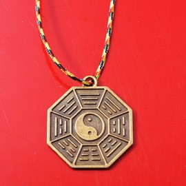 Chinese Zodiac Tai Chi Pakua Feng Shui Pendants W five Element Thread W Gift Bag Y1043 (Snake)