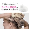 【got2b】Bonding Color Shampoo Milk Tea (Color Shampoo for Highly Damaged