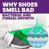 Uncle Todd's Odor Stomp Shoe Deodorizer 2-Pack - Proven &
