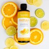 BRAINMD Dr Amen Omega-3 Power Squeeze, Citrus Blast - 16.8