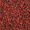 Organic Natural Pure Rowan berry | Sorbus commixta Fruits Dried