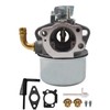raseparter 591925 Carburetor Replacement for 698479 693518 698475 591925 Engine