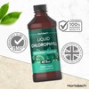 Horbaach Liquid Chlorophyll Drops 100mg | 473ml | Vegan Supplement