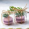 DIFEIUKI Transparent Gift Box, Set of 50, PVC Plastic Case,