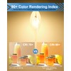 E12 B10 Clear Candle Base Bulb with Warm White 2700K,
